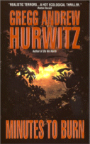 Minutes to Burn by Gregg Andrew Hurwitz