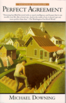 Cover of Perfect Agreement
by Michael Downing