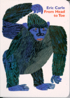 Cover of From Head to Toe
by Eric Carle