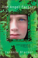 The Angel Factory
 by Terence Blacker