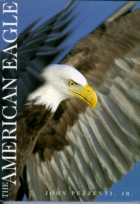 The American Eagle
by John Pezzenti, Jr.
