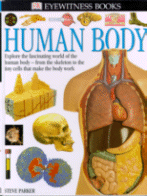 Human Body (Eyewitness Books)
by Steve Parker