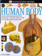 Human Body (Eyewitness Books)
by Steve Parker