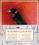 The Rarest of the Rare  by Nancy Pick, Photographs by Mark Sloan
